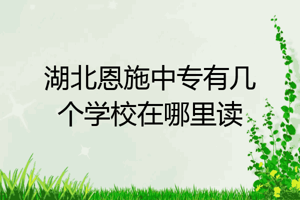 湖北恩施中专有几个学校在哪里读