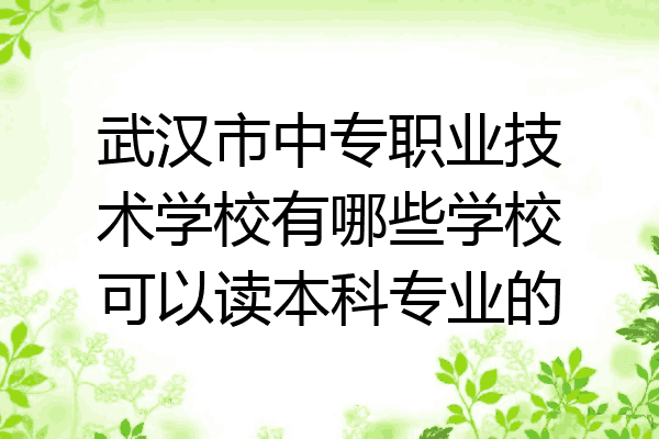 武汉市中专职业技术学校有哪些学校可以读本科专业的