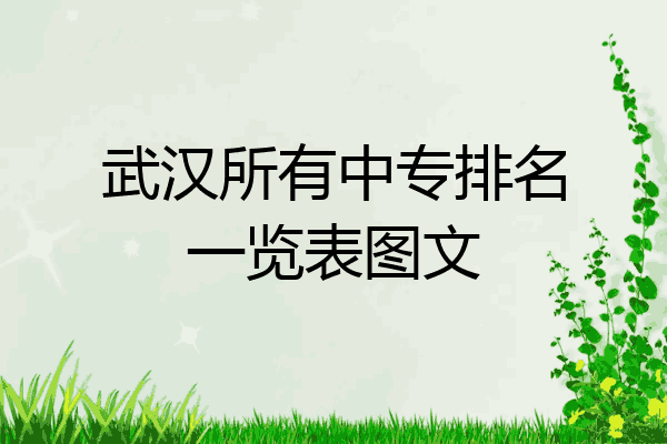 武汉所有中专排名一览表图文