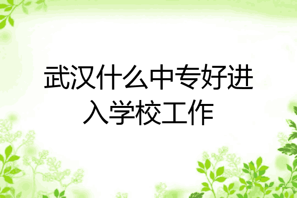 武汉什么中专好进入学校工作