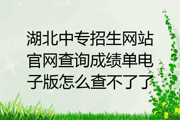 湖北中专招生网站官网查询成绩单电子版怎么查不了了