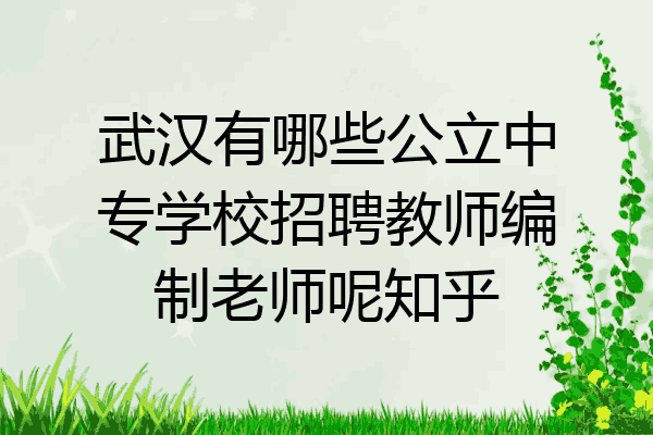 武汉有哪些公立中专学校招聘教师编制老师呢知乎