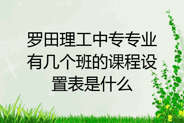 罗田理工中专专业有几个班的课程设置表是什么