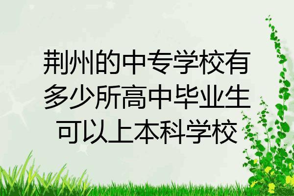 荆州的中专学校有多少所高中毕业生可以上本科学校