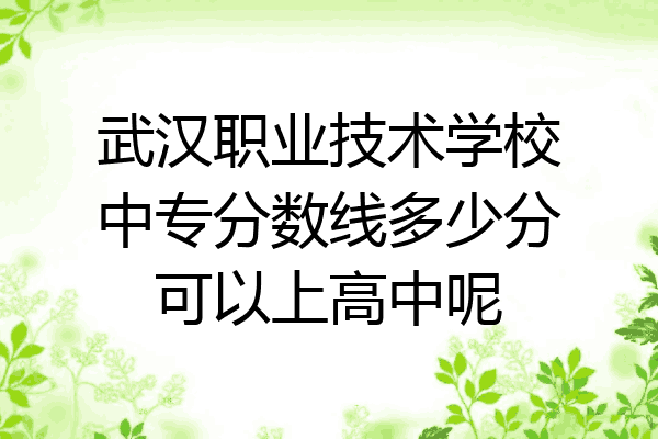 武汉职业技术学校中专分数线多少分可以上高中呢