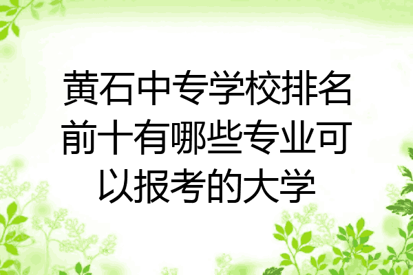 黄石中专学校排名前十有哪些专业可以报考的大学