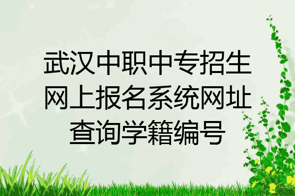 武汉中职中专招生网上报名系统网址查询学籍编号