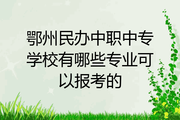 鄂州民办中职中专学校有哪些专业可以报考的