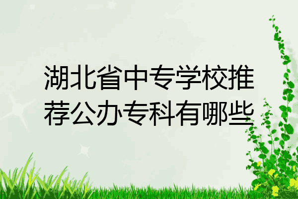 湖北省中专学校推荐公办专科有哪些