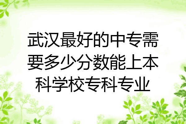 武汉最好的中专需要多少分数能上本科学校专科专业