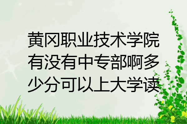 黄冈职业技术学院有没有中专部啊多少分可以上大学读