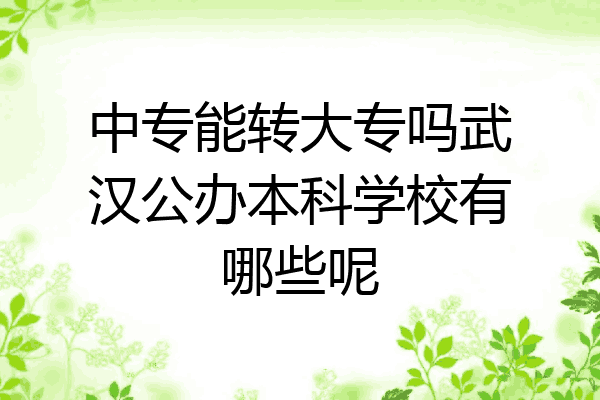 中专能转大专吗武汉公办本科学校有哪些呢