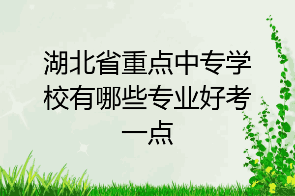 湖北省重点中专学校有哪些专业好考一点