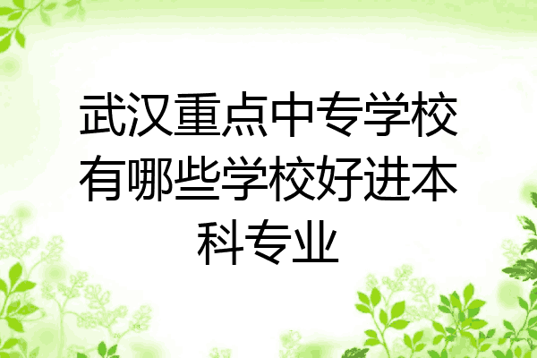 武汉重点中专学校有哪些学校好进本科专业