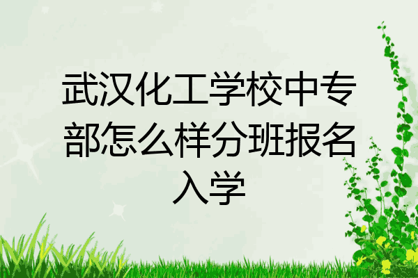 武汉化工学校中专部怎么样分班报名入学