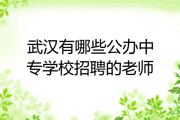 武汉有哪些公办中专学校招聘的老师