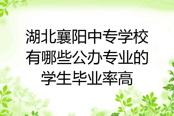 湖北襄阳中专学校有哪些公办专业的学生毕业率高