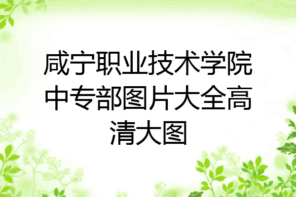 咸宁职业技术学院中专部图片大全高清大图