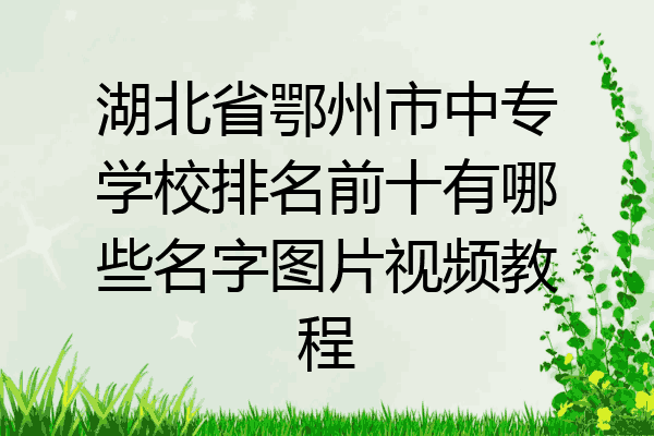 湖北省鄂州市中专学校排名前十有哪些名字图片视频教程