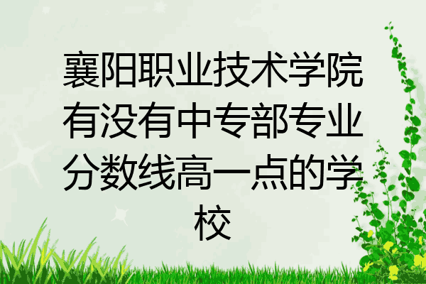 襄阳职业技术学院有没有中专部专业分数线高一点的学校