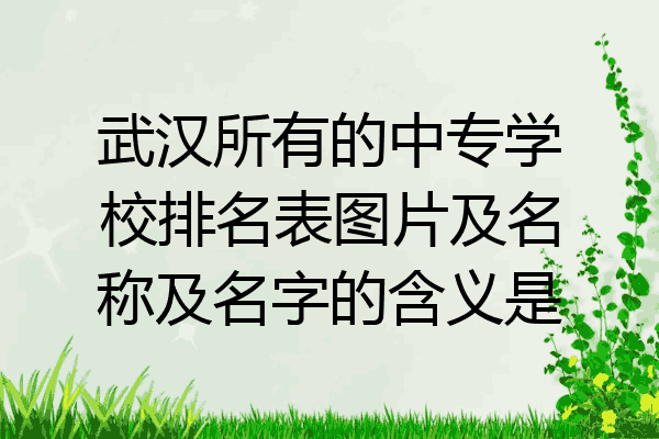 武汉所有的中专学校排名表图片及名称及名字的含义是