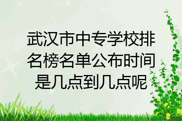 武汉市中专学校排名榜名单公布时间是几点到几点呢