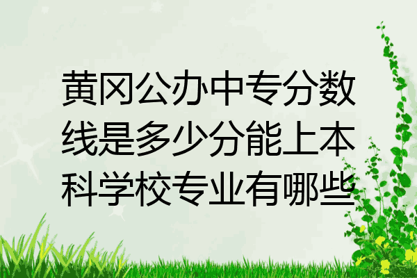 黄冈公办中专分数线是多少分能上本科学校专业有哪些