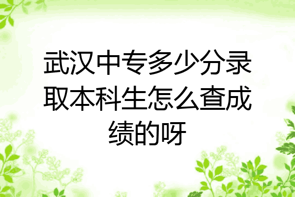 武汉中专多少分录取本科生怎么查成绩的呀