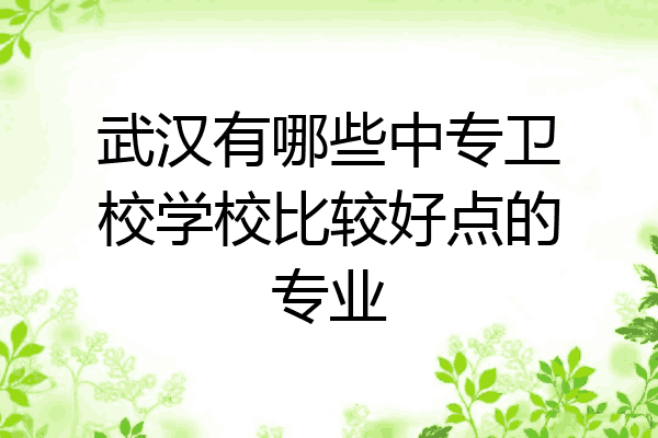 武汉有哪些中专卫校学校比较好点的专业