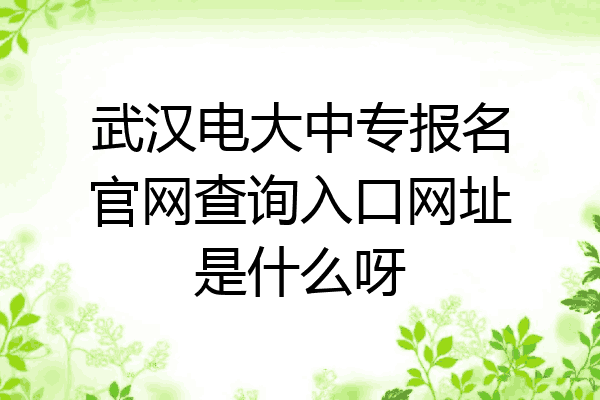 武汉电大中专报名官网查询入口网址是什么呀