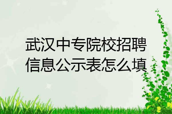 武汉中专院校招聘信息公示表怎么填