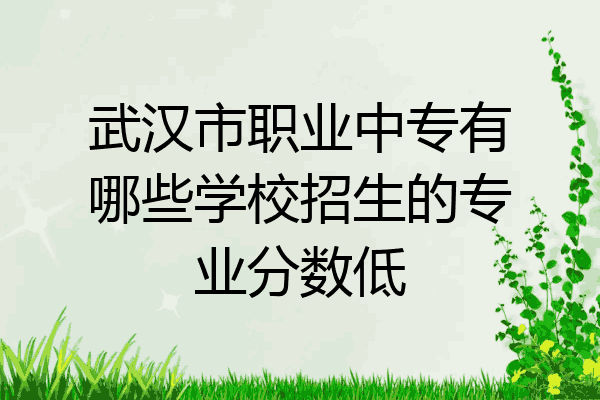 武汉市职业中专有哪些学校招生的专业分数低