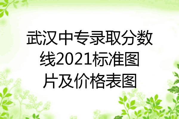 武汉中专录取分数线2021标准图片及价格表图