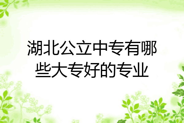 湖北公立中专有哪些大专好的专业