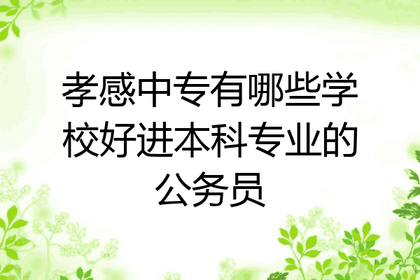 孝感中专有哪些学校好进本科专业的公务员
