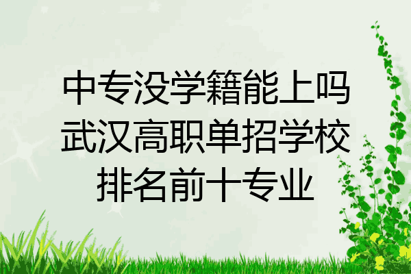 中专没学籍能上吗武汉高职单招学校排名前十专业