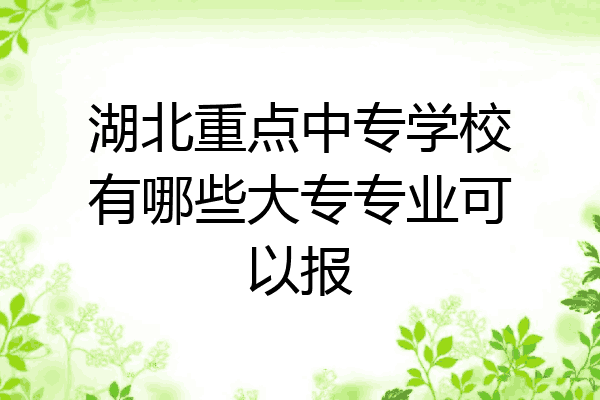 湖北重点中专学校有哪些大专专业可以报