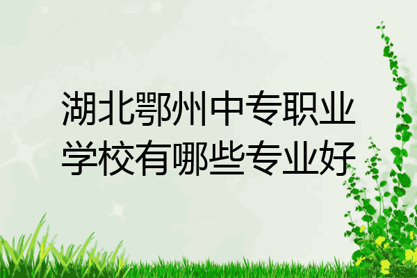 湖北鄂州中专职业学校有哪些专业好