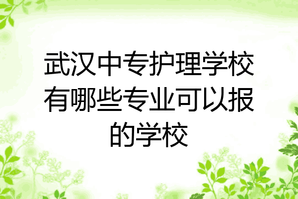 武汉中专护理学校有哪些专业可以报的学校