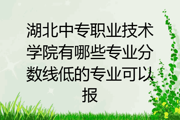 湖北中专职业技术学院有哪些专业分数线低的专业可以报