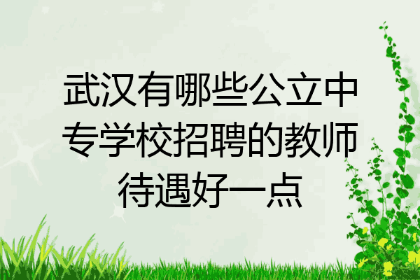 武汉有哪些公立中专学校招聘的教师待遇好一点