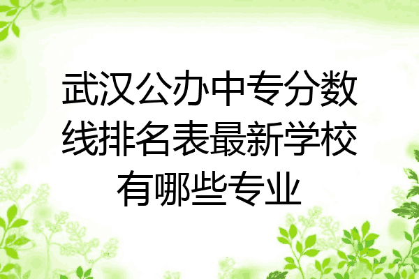 武汉公办中专分数线排名表最新学校有哪些专业