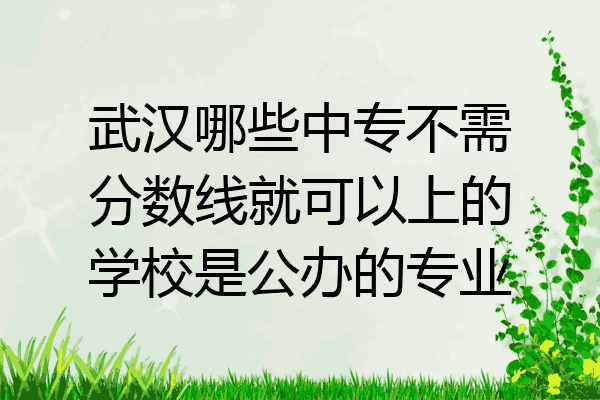 武汉哪些中专不需分数线就可以上的学校是公办的专业