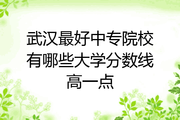 武汉最好中专院校有哪些大学分数线高一点