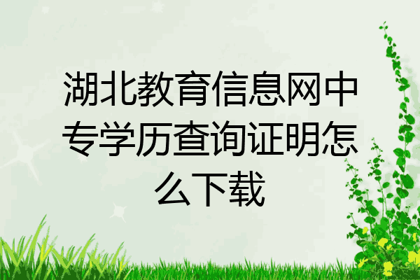 湖北教育信息网中专学历查询证明怎么下载