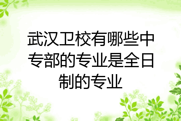 武汉卫校有哪些中专部的专业是全日制的专业