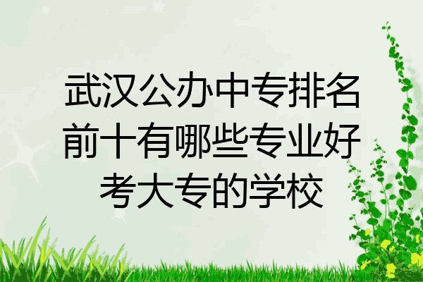 武汉公办中专排名前十有哪些专业好考大专的学校