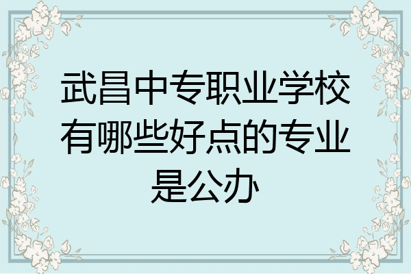 武昌中专职业学校有哪些好点的专业是公办