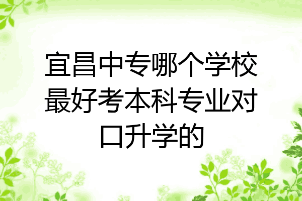 宜昌中专哪个学校最好考本科专业对口升学的