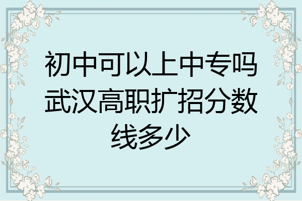 初中可以上中专吗武汉高职扩招分数线多少